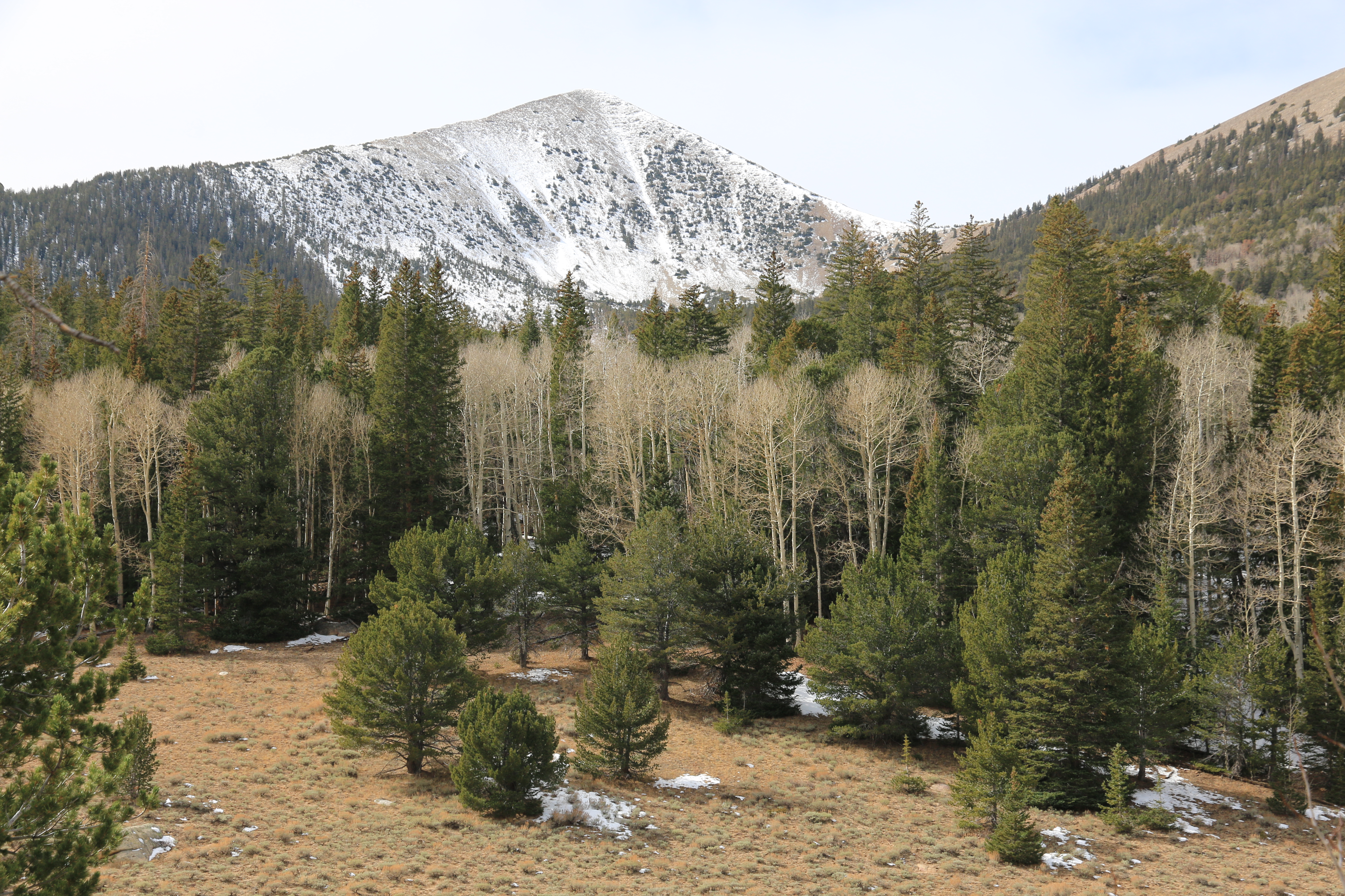 Great Basin NP
